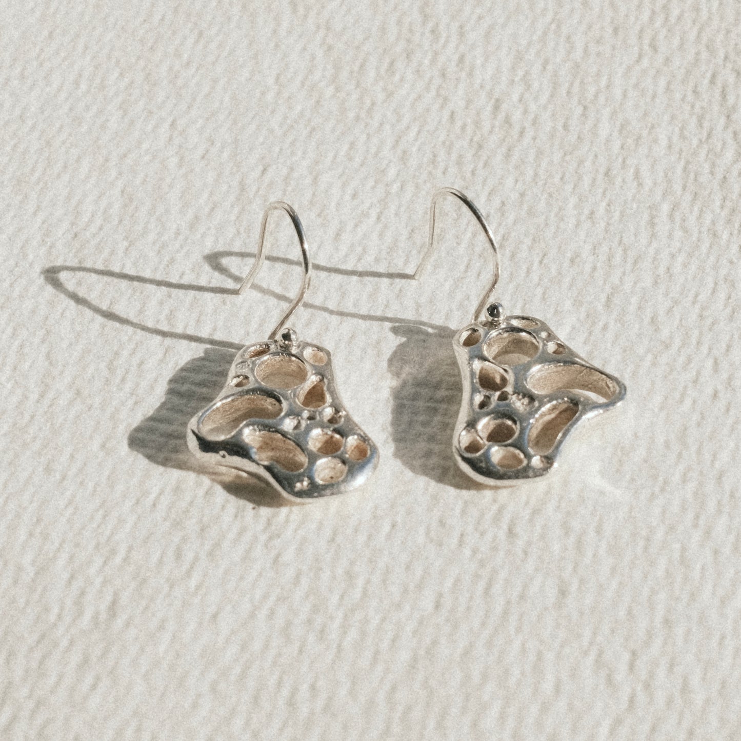 Igneous Drop Earrings