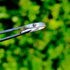 Sapphire Facet Textured Ring